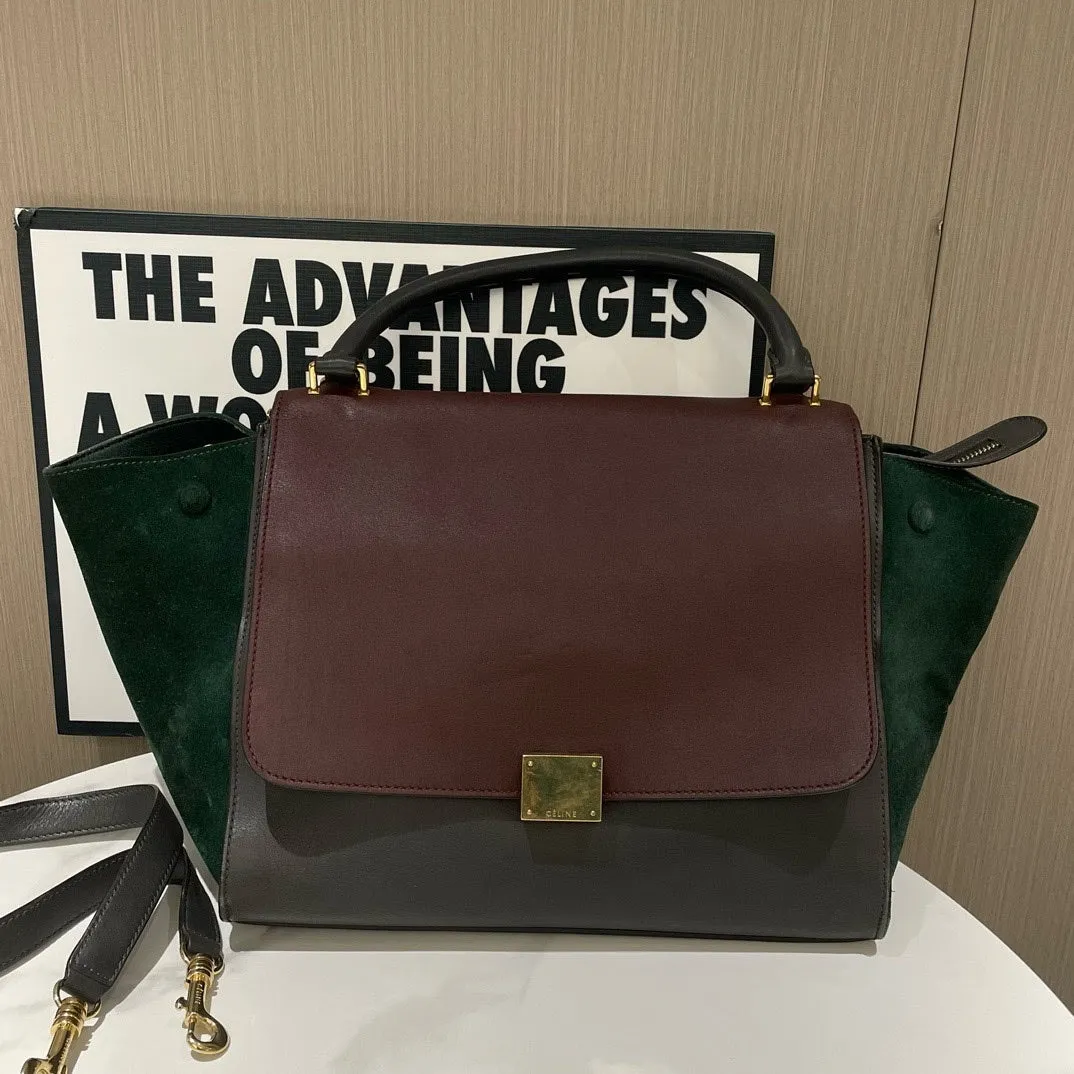 Celine Trapeze Medium Multicolor Leather Suede Handbag