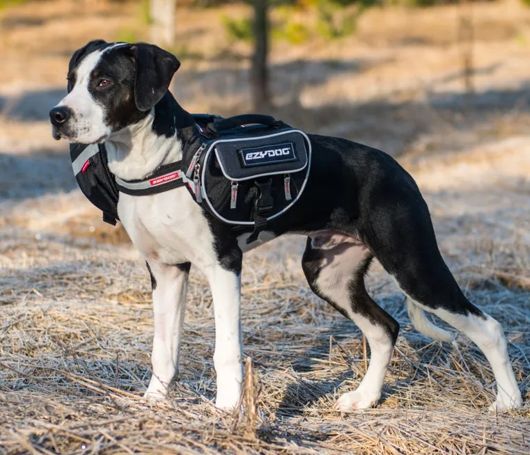 EzyDog Convert Saddle Bags