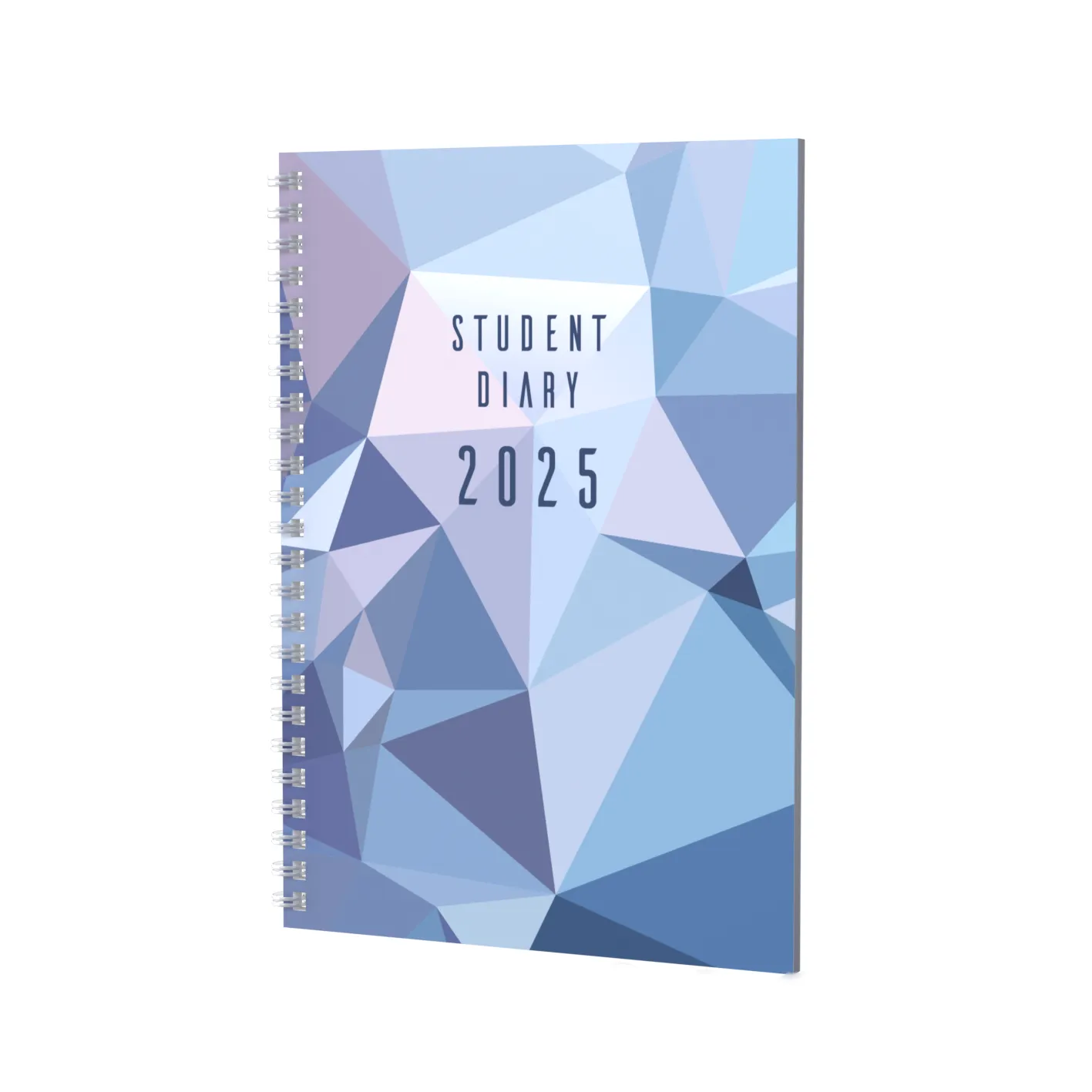 Student -A5 - Week-to-View - 2025 Calendar Year Diary/Planner